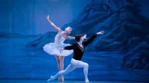 Schwanensee - Ballett Mit Orchester