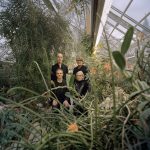 4 Menschen die umgeben sind von Kakteen